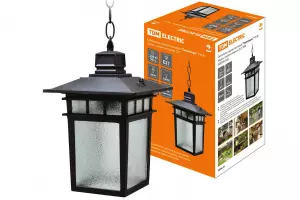 Светильник садово-парковый "Тамплиеры" 100 Вт, подвес, шагрень/черный, Е27, TDM 