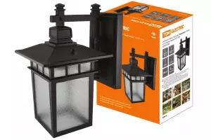 Светильник садово-парковый "Тамплиеры" 100 Вт, вниз, шагрень/черный, Е27, TDM 