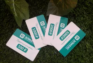 ЭЛМАКС - Подарочная карта 2000 р элмакс, электротехника, кабель, светотехника, elmax.pro