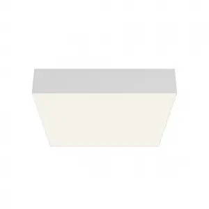 Потолочный светильник Zon 4000K 36W 120°