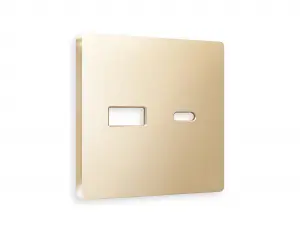 ЭЛМАКС - Лицевая панель ALFA (Шампань) для розетки 2USB тип A+C QUANT AP6110 элмакс, электротехника, кабель, светотехника, elmax.pro