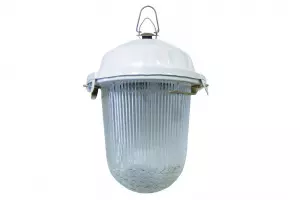 Светильник НСП 02-100-001.01 У2 (без решетки, стекло, крюк) TDM